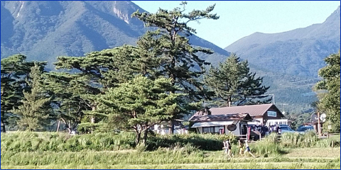夏合宿